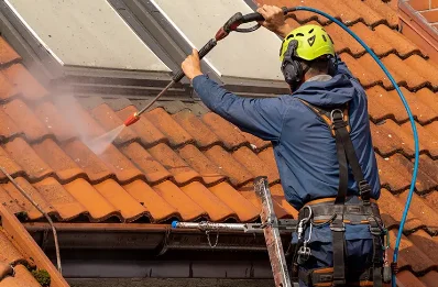 Démoussage et hydrofuge de toiture à Cheyssieu